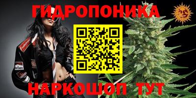 apvp Бугуруслан