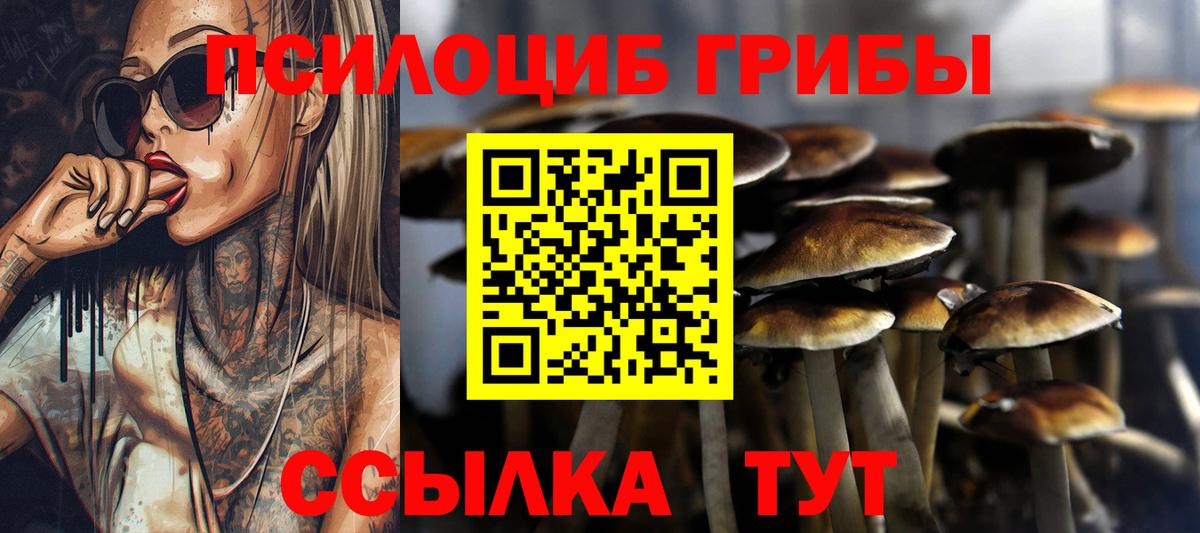 Галлюциногенные грибы Psilocybe  Псилоцибиновые грибы Magic Shrooms  Тутаев  Вход с VPN 